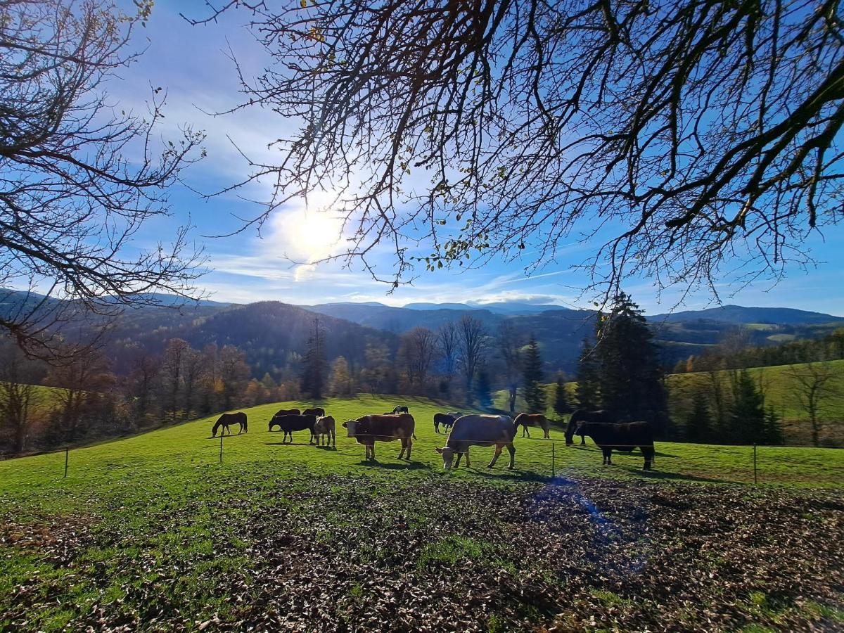 Ferienwohnung Erlebnisbauernhof Gutschi Ranch Kamp Exterior foto