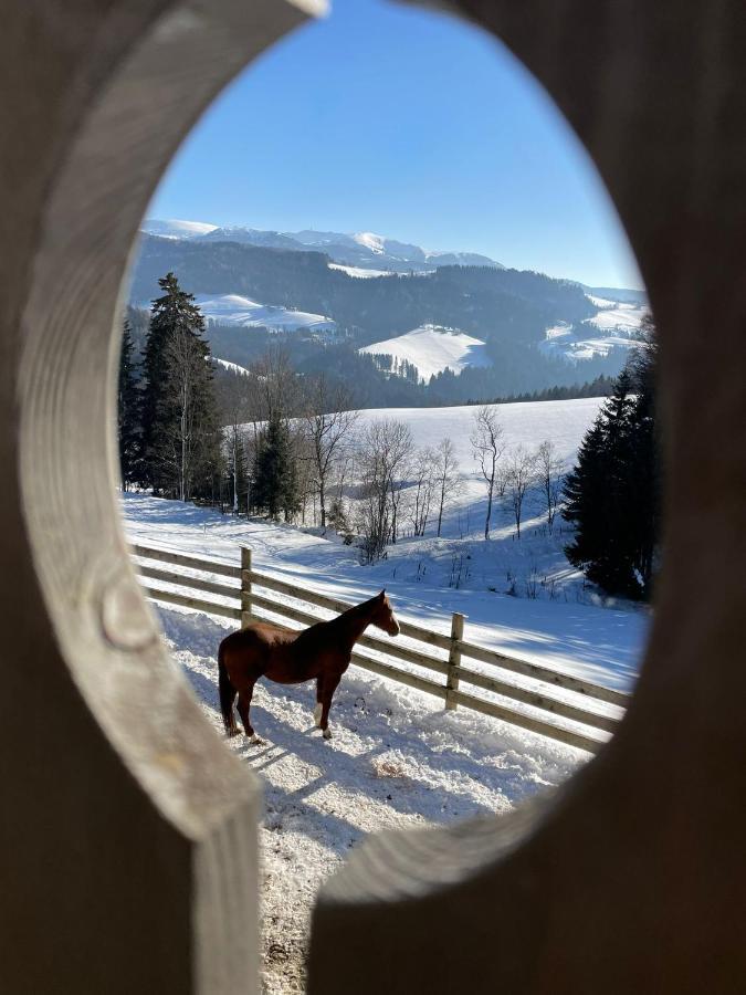 Ferienwohnung Erlebnisbauernhof Gutschi Ranch Kamp Exterior foto