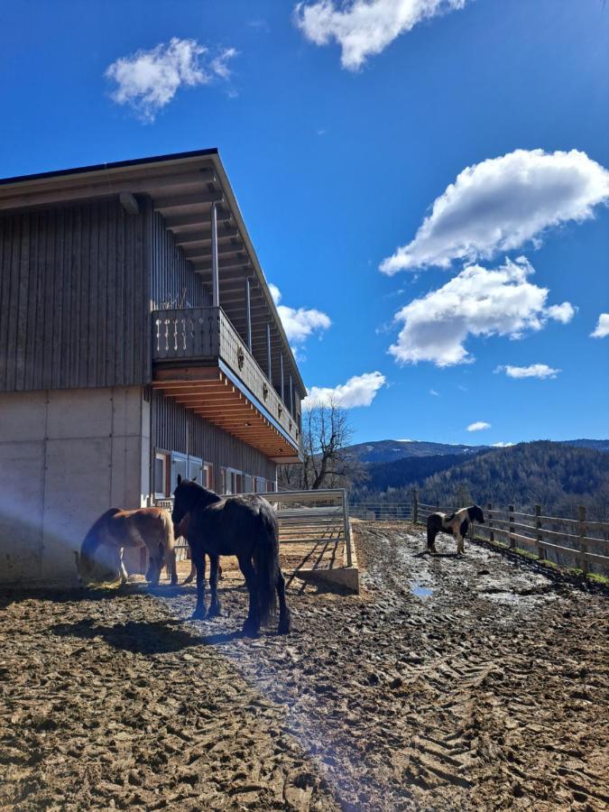 Erlebnisbauernhof Gutschi Ranch Kamp Exterior foto