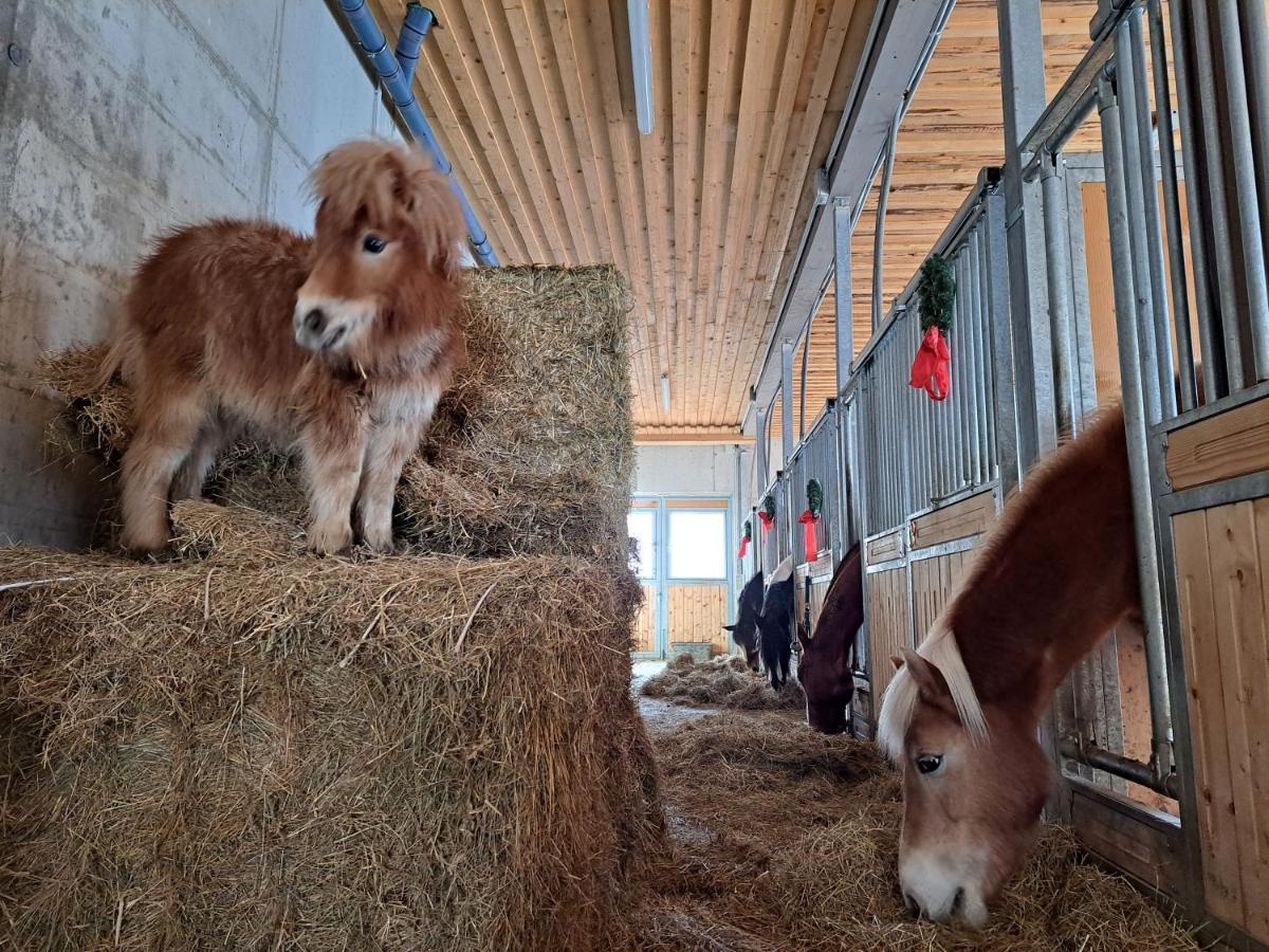 Ferienwohnung Erlebnisbauernhof Gutschi Ranch Kamp Exterior foto