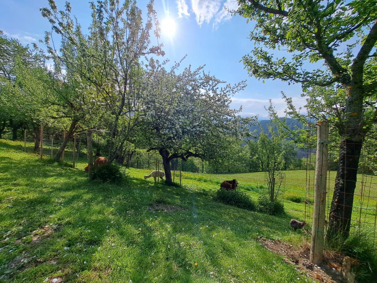 Ferienwohnung Erlebnisbauernhof Gutschi Ranch Kamp Exterior foto